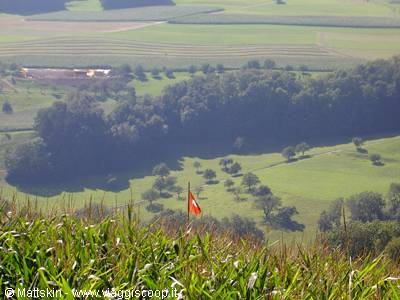 Near Frenkendorf