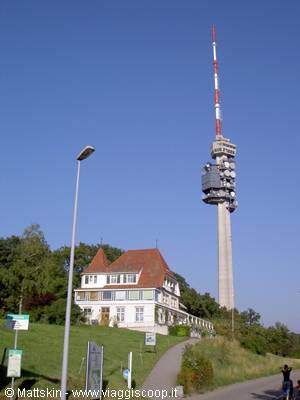 Near Basel