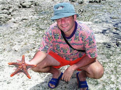 Starfish