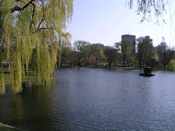 Boston Common