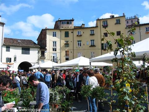 Oval Square - Lucca