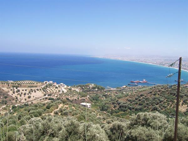 Hillside olive groves above turquoise sea, cargo ships near the coast