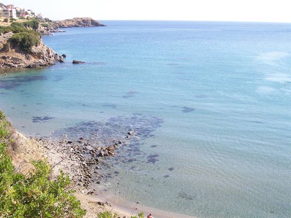 Sand and rocks in clear turquoise water, Mediterranean shrubs in the foreground