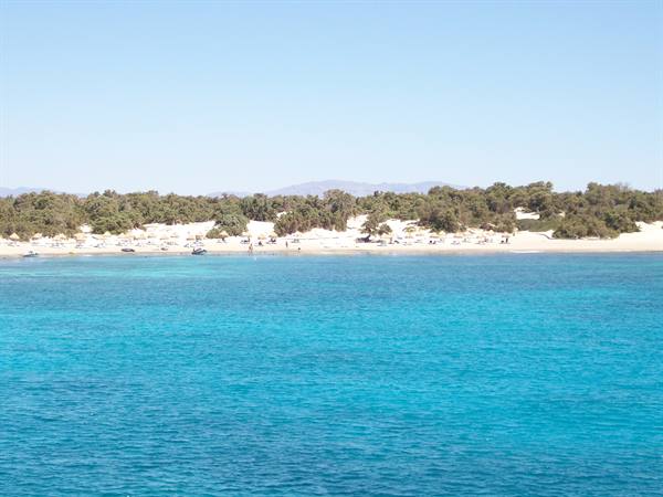 Turquoise sea in front of sandy beach with umbrellas and pines under sunny sky