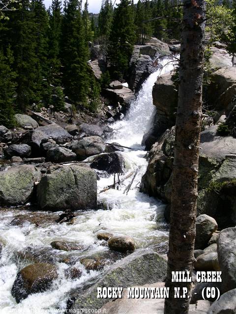 Waterfall over granite boulders among pines at Mill Creek, Rocky Mountain