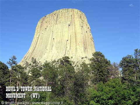 Devil's Tower National Monument, basalt monolith rising above pine forest