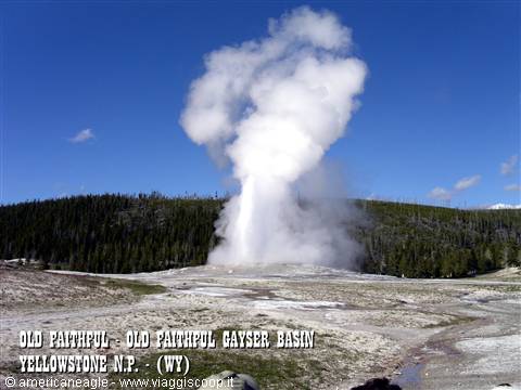 Old Faithful geyser erupts white steam over sinter ground in Yellowstone