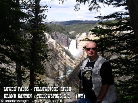 Man in sunglasses in front of Lower Falls on the Yellowstone River, Grand Canyon, among conifers