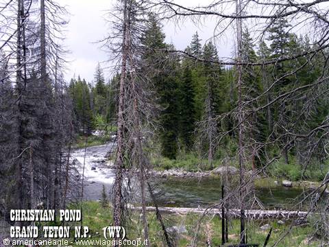 Christian Pond at Grand Teton: stream winding among conifers and dead trunks