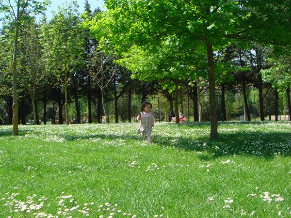GREEN AREAS IN IGEA
