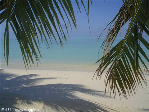 WHITE BEACH
