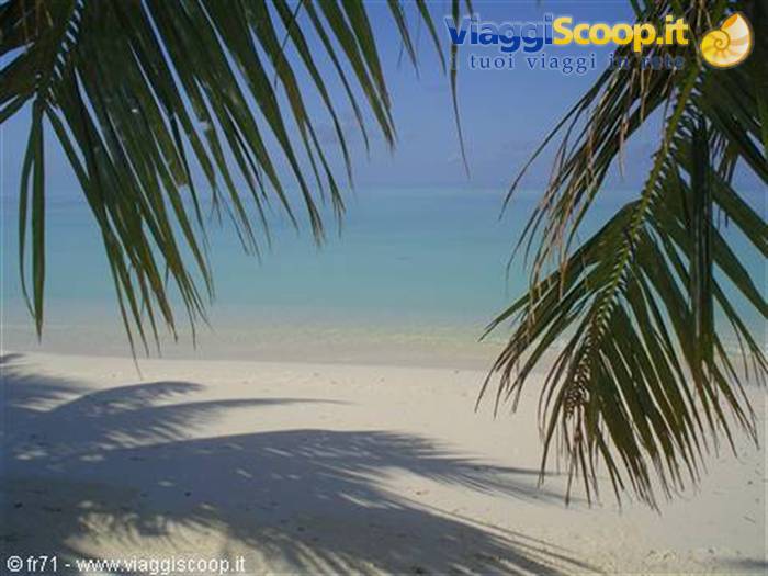 WHITE BEACH