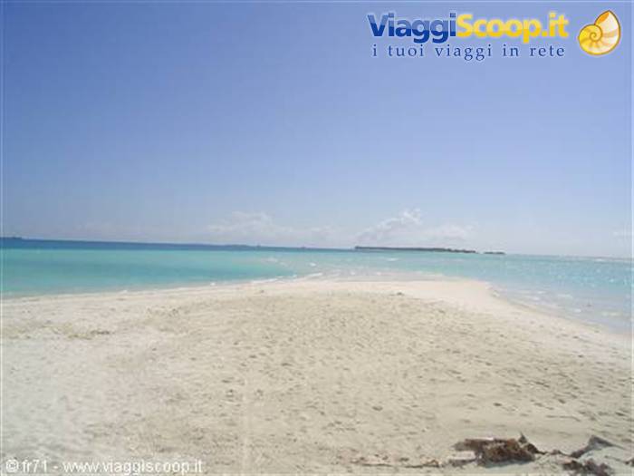 WHITE BEACH