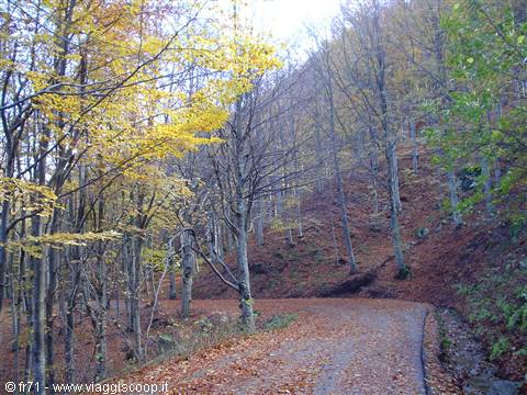 AUTUMN