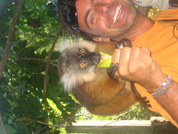 Smiling man feeds a piece of fruit to a lemur among green trees