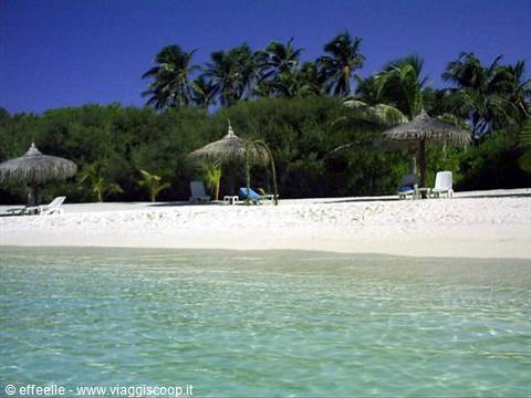 the beach