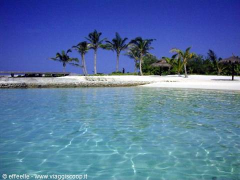 the beach