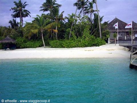 the beach
