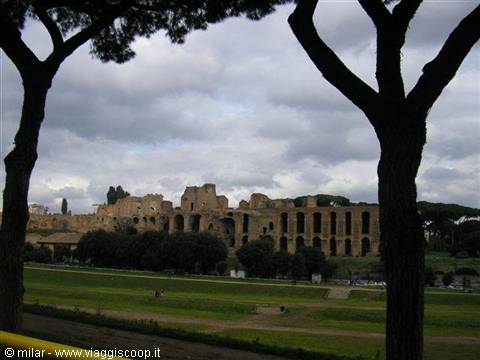 Ancient ruins on the Palatine seen from Circus Maximus, framed by trees