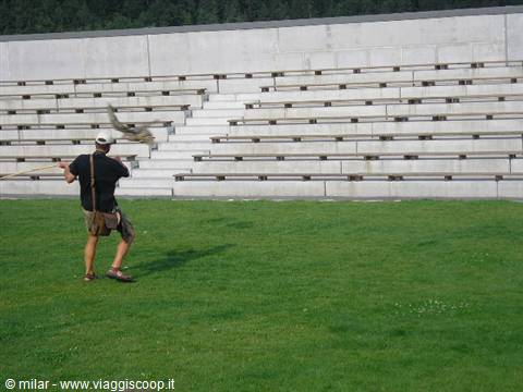 Falconer launches an eagle in a concrete amphitheater with empty tiers
