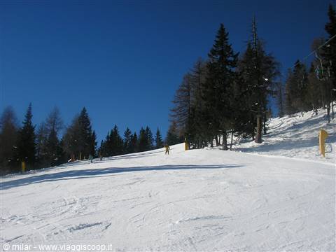 FOLGARIDA