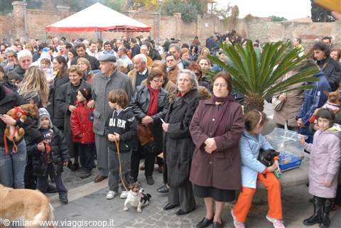 blessing of the animals