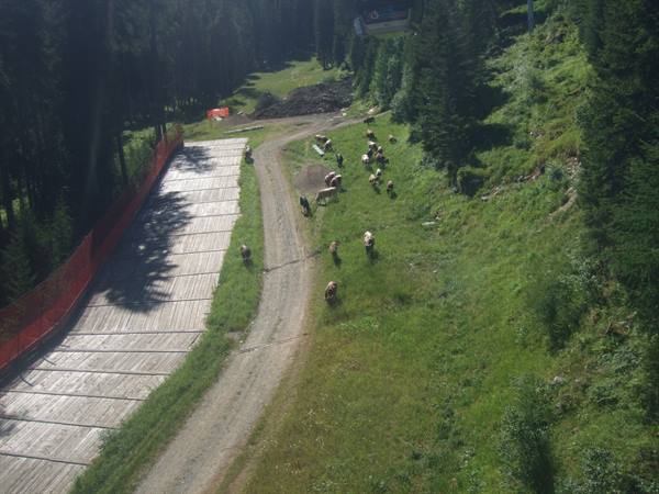 MARILLEVA 1400: Panciana slope.