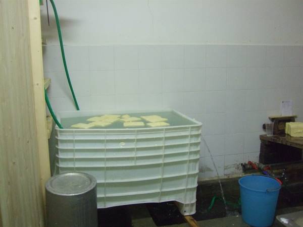 MALGA DI DIMARO: butter making.