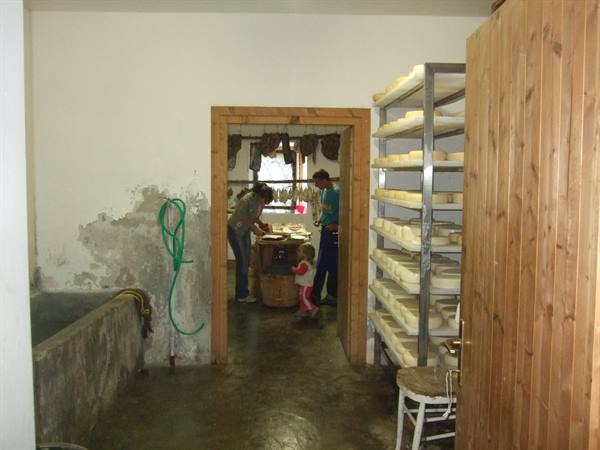 MALGA DI DIMARO: cheeses.