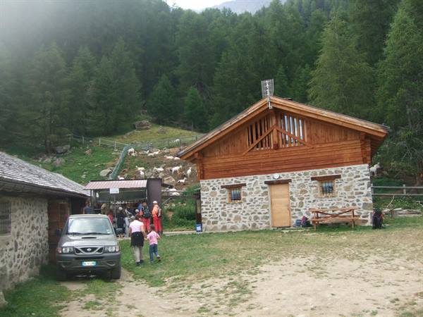 PEJO: malga Covel.