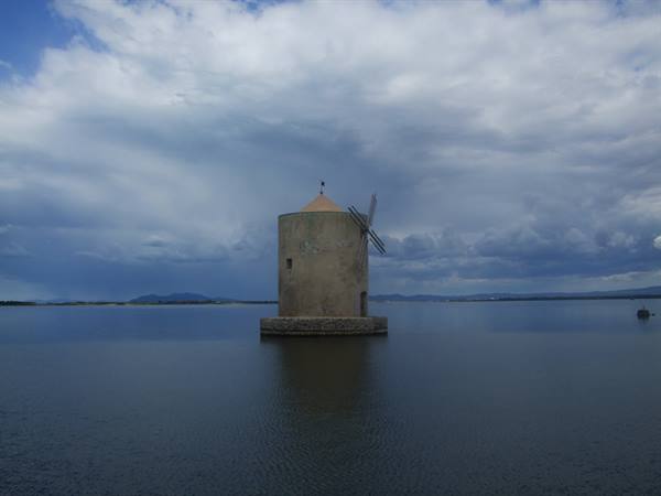 ORBETELLO: tour of the lagoon.