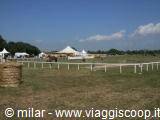 White camping tents in a green field with wooden fences