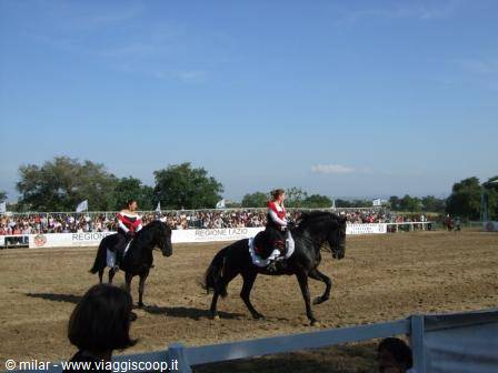 Riders on black horses in sunlit arena performing before the crowd