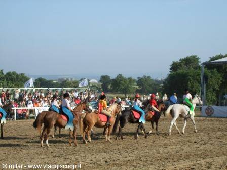 Riders on horseback with flags parade in the arena before spectators