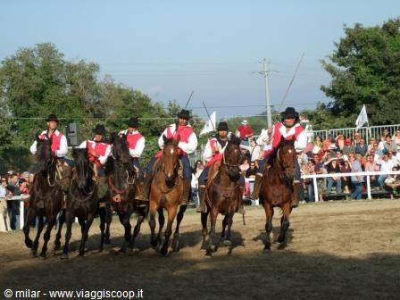 Riders in traditional costume with black hats gallop in the arena before spectators