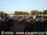 Horsemen gathered on horseback in a dirt arena before the crowd