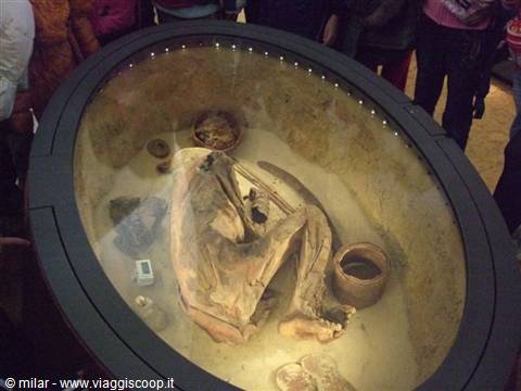 Crouched mummy with pottery offerings displayed in a glass case at the museum