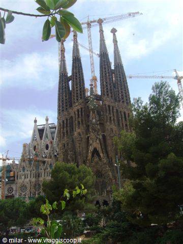 The spires of the Sagrada Familia in Barcelona among cranes and trees