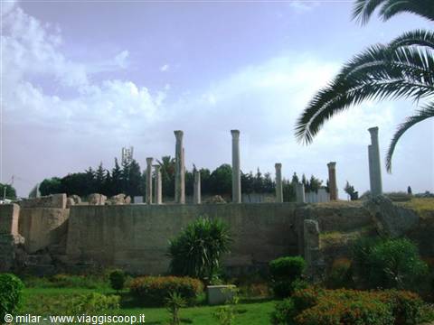 Ancient stone columns among palm trees and gardens, ruins of Carthage