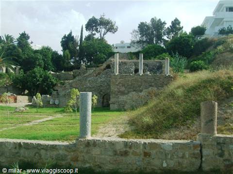 Ancient stone ruins with columns at Carthage, among trees and white houses