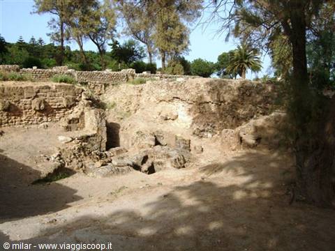ancient stone ruins among trees and palms, sunlight