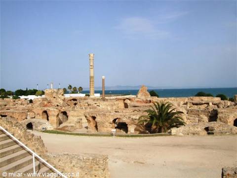 Carthage ruins with stone columns, palm tree and turquoise sea