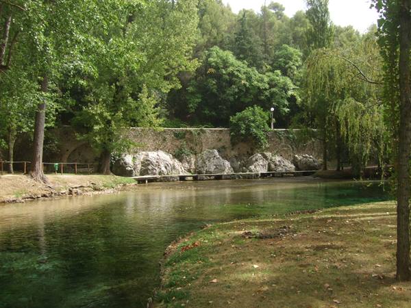 Clear river water flowing among trees and rocks, old stone wall behind