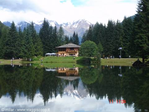 DEER LAKE: SUMMER 2005