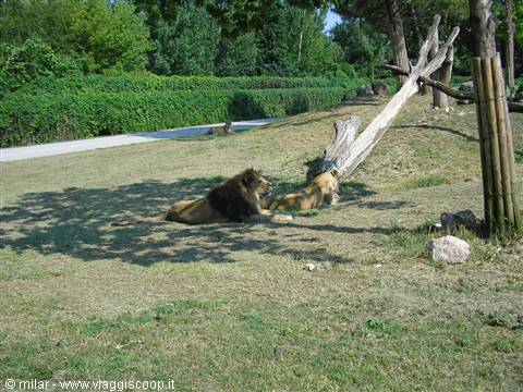 ZOOSAFARI PESCHIERA DEL GARDA