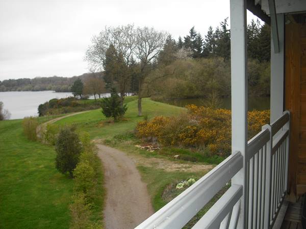 Grassy path leading to the lake with yellow gorse, seen from wooden balcony