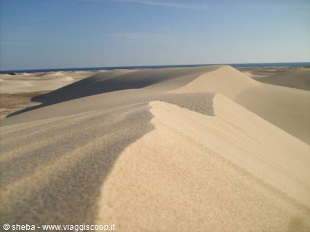The Zahig desert