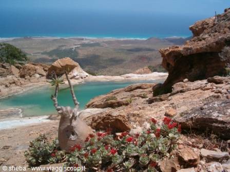 The pools of Homil