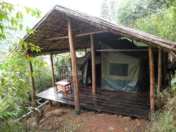 Green safari tent under a wooden thatched shelter in the forest