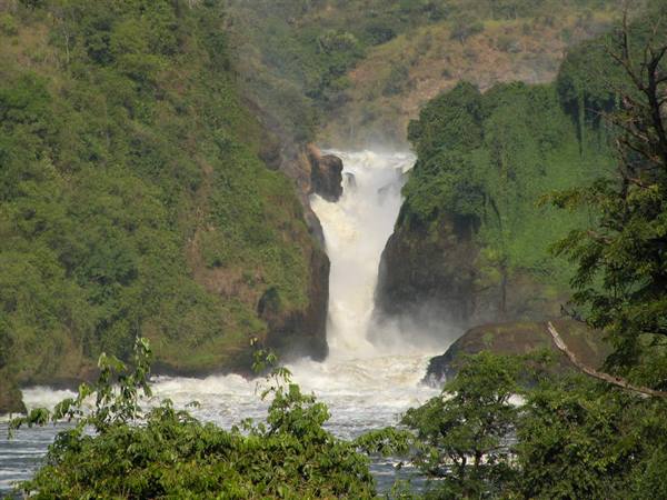 Murchison Falls, white water plunging between rocks and green forest